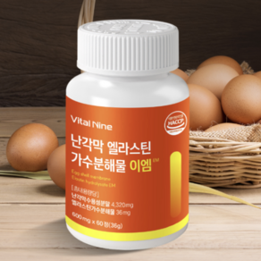비에이치웰 난각막 가수분해물+알약통, 1개, 60정