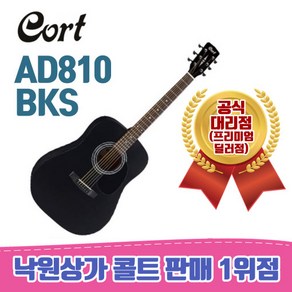 콜트 어쿠스틱 기타 AD810, BKS