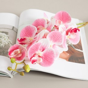 블리스호접란가지 68cm (3컬러) 조화 인테리어 꽃 장식, 퍼플그린, 1개