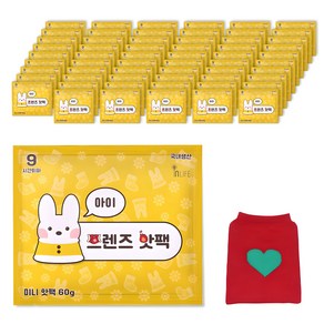 [국내생산] 인라이프 아이프렌즈 핫팩 미니 60g x 60p + 핫팩주머니, 1세트