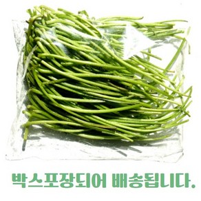 [산지직송] [국내산] 안깐 고구마줄기 생 고구마줄기 안깐고구마순 고구마순 당일채취 고구마순 1KG 400G 싱싱한고구마줄기 고구마순김치 고구마순무침 고구마줄기볶음