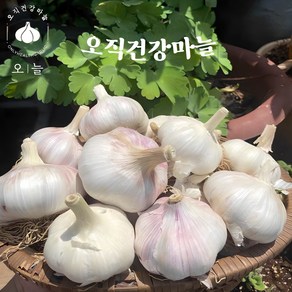 국내산 안깐마늘 대서통마늘 1kg / 3kg