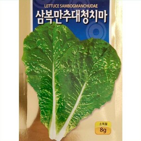 여름 청치마 상추씨앗 (8g), 1개