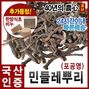 자애인 국산 민들레뿌리 (포공영뿌리) 300g 민들레뿌리차 포공영