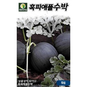 다농 아야미 흑피애플수박 씨앗 5p, 1개