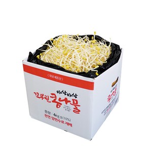 [생산자 직송] 천연 암반수로 키운 튼실한 꼬부린 콩나물, 2kg, 1개