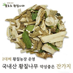 불로초황칠나라 황칠나무 황칠나무가지(약성높은 잔가지) 400g 800g