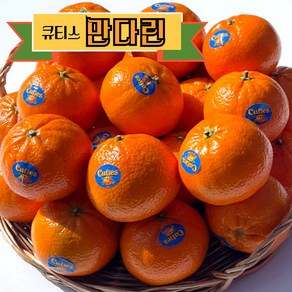 [완전 고당도 귤] 만다린 초고당도 미국산귤 큐티스만다린, 1박스, 만다린 1kg