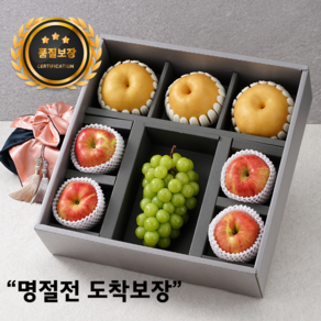 [백화점품질] 프리미엄 사과배 혼합 과일선물세트, 1세트, 1호 (사과5+배4)