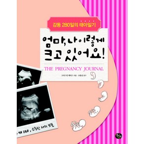 엄마 나 이렇게 크고 있어요:감동 280일의 태아일기, 열린생각