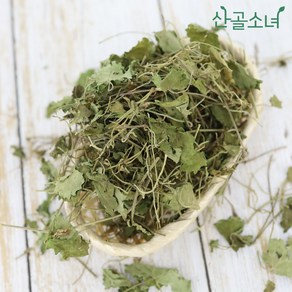 산골소녀 국내산 건조 금전초 긴병꽃풀, 300g, 300g, 1개