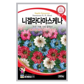 모칸도 (무배)세계 니겔라다마스케나 꽃씨 (200립), 1개