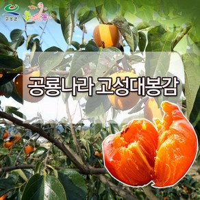 대봉감10kg, 소과10kg(51~60)개