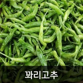 약수농장 꽈리고추 4kg