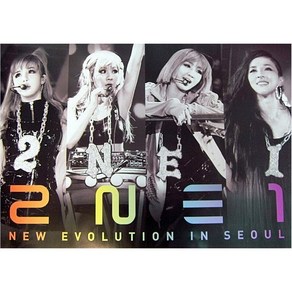 (브로마이드1종+지관통) 투애니원 (2NE1) - New Evolution In Seoul A 포스터