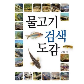 물고기 검색 도감