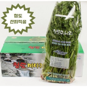 [청도 산지직송] 아삭한 국내산 청도 한재미나리, 1박스, 500g