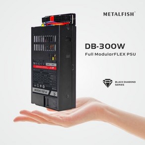 가성비 메탈FISH 모듈러 전원 공급 장치 플렉스-ATX 400W PSU ITX 미니 PC 컴퓨터용 소형 1U 액티브 NAS AI, [01] 300W, 1개, 2) 400W