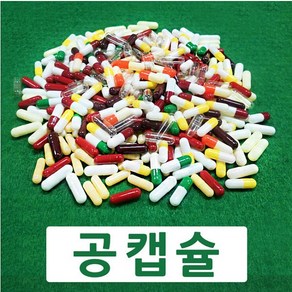 코인텍 빈알약 공캡슐 1000개1팩 100mg~500mg용량, 1개