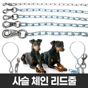 중대형견 체인 개줄 사슬 (1.5-6mm 180cm 대형견 리드줄 이동줄 목줄 체인줄), 4호-3mm, 1개