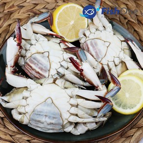 [피시원] 이력추적 알이 꽉찬 국산 통 암꽃게(냉동) 1kg, ONE COLOR