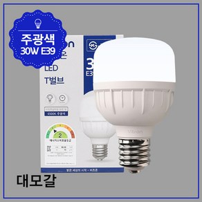 비츠온 T벌브 LED W 30W 주광 E39 KS, 1개, 주광색