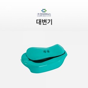 대변기(뚜껑포함) 현대 HD-BP-01 병원용/환자용/휴대용/남여 공용