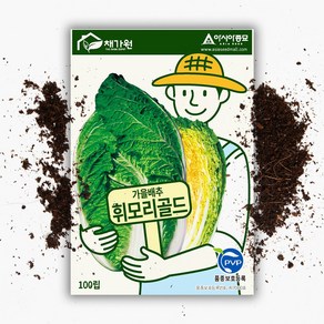 김장 배추씨 휘모리골드 배추씨앗 (100립) CR계 종자, 1개