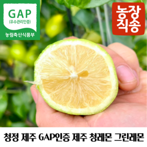 제주 GAP인증 제주레몬생과 제주그린레몬 제주청레몬 제주도산레몬 국산제주레몬 제주산생레몬 제주레몬생과 제주도친환경레몬 제주레몬gap 제주햇레몬 제주왕레몬 제주노란레몬