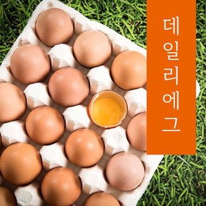 신선한 무항생제 특란, 60구, 1개