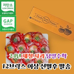 [고당도 당도선별] 껍질째 먹는 경북 홍로 씻은사과 2kg 3kg 5kg 세척사과 소과 중과 대과