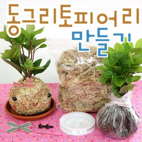 토피어리재료/토피어리만들기/DIY, A동그리(식물없음), 1개