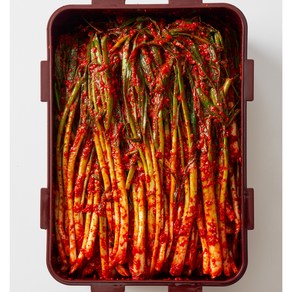 남다른 100%국산 30년 전통 전라도 파김치, 3kg, 1개
