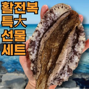 [설선물세트] 프리미엄 완도 활전복 1kg 2kg 특대 왕특 당일조업 산지직송 선물세트 청정해역, 1세트, 1kg(10미)대