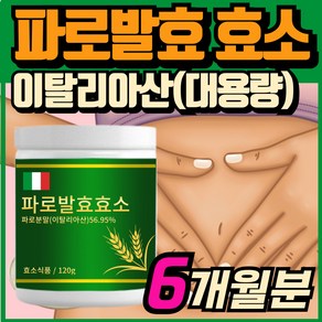 파로 효소 분말 이탈리아 파로 곡물 효소 고대곡물 엠머밀 가루 탄수화물 글루텐 분해효소 역가수치 높은 효소, 3개, 120g