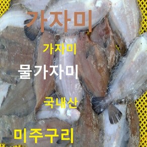 (쌍다리상회)가자미 식해전용 물가자미 5kg 식해용 급냉, 5kg(50-80마리), 1개