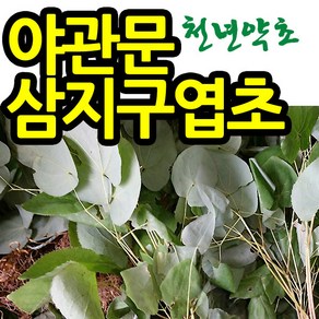 천년약초 자연산 (햇)음양곽 삼지구엽초 50g 음양곽주, 1개