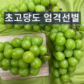 고당도 22bix 샤인머스캣 고품질 수출용 산지 선별품, 1박스, 가정용 1kg 1-2수