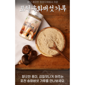 아침뜰 송화버섯 가루 100g, 1개