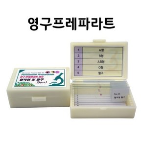 영구프레파라트-혈액형 및 혈구(5pcs), 1개