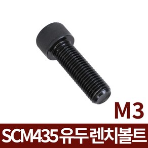 육각볼트 SCM435 유두 렌치볼트 M3 모음