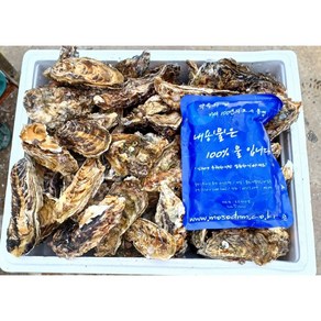 통영수산마켓 산지직송 세척 석화 각굴 통영석화굴 5kg 10kg 산지직송/석화/각굴/캠핑요리/굴구이/굴찜 1박스, 석화 10kg