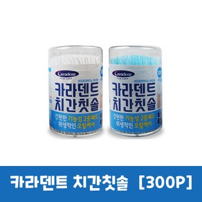 카라덴트 치간칫솔 웰터스 간편치간칫솔 300pcs [2개], 2ea+나무면봉100개