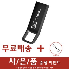 에스티원테크 ST30 메탈 USB메모리 블랙, 8GB