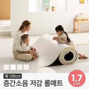 [파크론] 뽀송 층간소음 롤매트 17T 120x100x1.7cm (미터단위), 상세 설명 참조