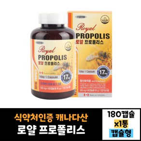 캐나다 oyal 프로폴리스 180캡슐 효능 효과 복용법 먹는법 30대 40대 50대 60대 남자 여자, 180정, 2개