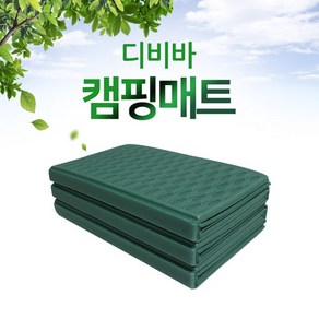 디비바 캠핑매트 대형 200x240 (가방포함), y01_그린, 대형무지200x240