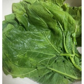 (국내산) 햇호박잎 산지직송 호박잎쌈 호박잎 생호박잎, 1박스, 1kg