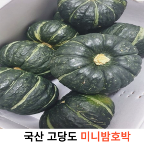 국내산 신선한 고당도 미니 밤호박 1kg 국산 제철 단호박 밤호박 꼬마 단호박 고소하고 달달한 미니 밤호박, 1개, 2kg