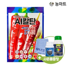 농마트 AI칼탄 1200립 (아미노산대사활성제+가식비료 증정) 고추씨앗 종자 복합내병 극대과종 칼라병 탄저병 역병, 1개